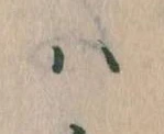 𛂞 위치 확인됨