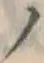 字ノ