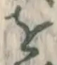 글자 を