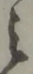 之 위치 확인됨