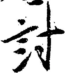 討 위치 확인됨
