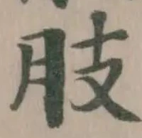 位置定マレル肢