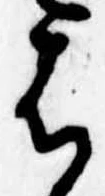 Đã định vị 𛂦