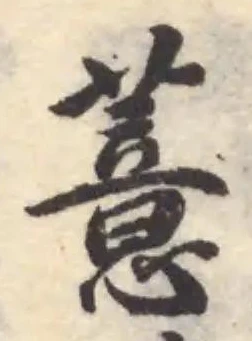 薏の位置