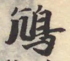 鴆 위치 확인됨