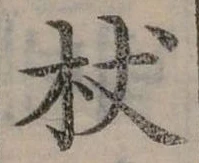 已定位杖