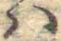 𛂞の位置