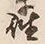 Character 座