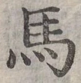 馬 위치 확인됨