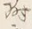 文字属