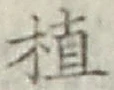 文字植