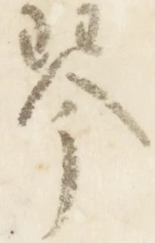 琴 위치 확인됨