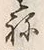 文字ね