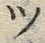 글자 ツ