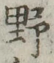 野 위치 확인됨