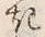 文字 き