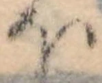 𛃀 위치 확인됨