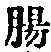 文字腸