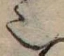 𬻿 위치 확인됨