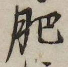 肥 위치 확인됨