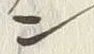 字ン