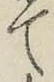 文字て