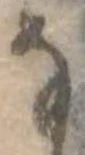 Đã định vị 𛂂