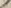 字ヲ