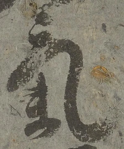 㐌定位気