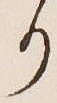 글자 り