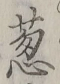 글자 葱