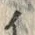 文字テ