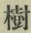 文字樹