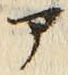 「ア」字