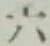 文字六