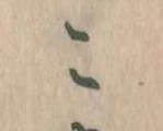 こ 위치 확인됨