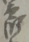 郎 위치 확인됨