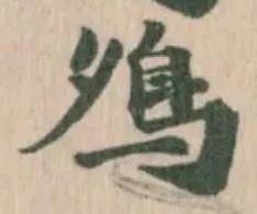 𩾗 위치 확인됨
