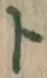 字ト