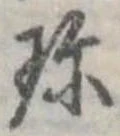 珍の位置