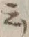 Chữ 云
