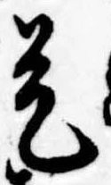 已定位是