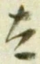 글자 太