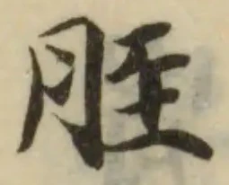 脛の位置