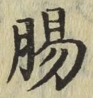 文字腸