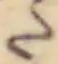 Đã định vị 𛁠