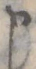 申 위치 확인됨