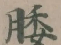 Đã định vị 腇