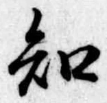 知 위치 확인됨
