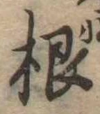 根 위치 확인됨